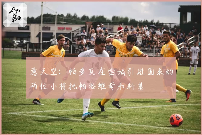意天空：帕多瓦在尝试引进国米的两位小将托帕洛维奇和科基