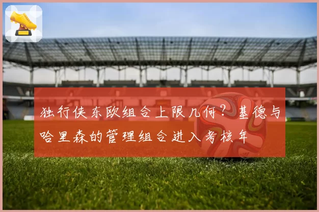 独行侠东欧组合上限几何？基德与哈里森的管理组合进入考核年